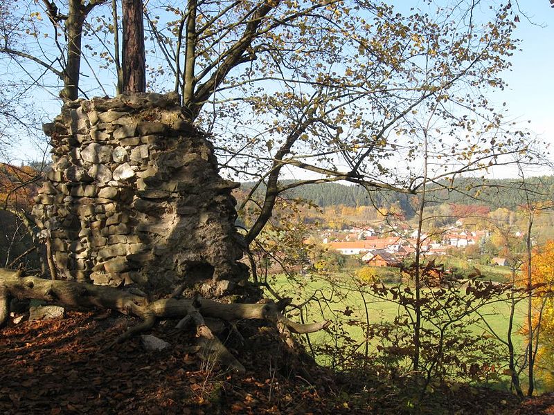 Zřícenina hradu Holštejn